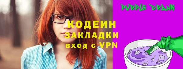шишки Верея