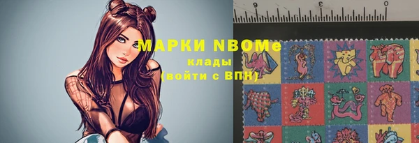 шишки Верея