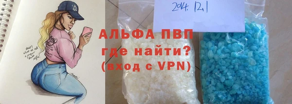 шишки Верея