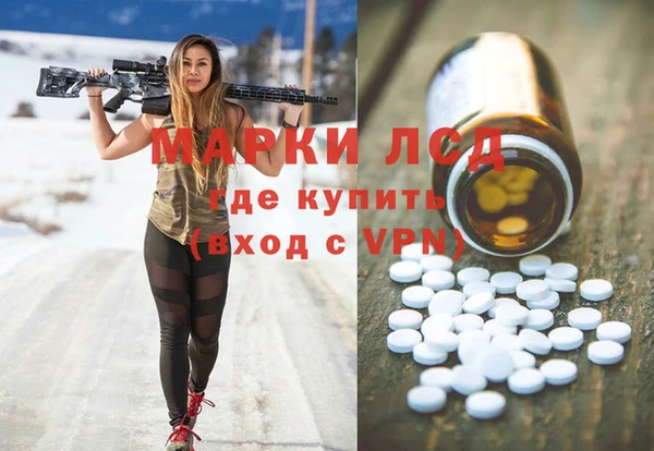 шишки Верея