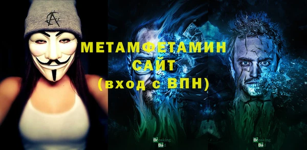 шишки Верея