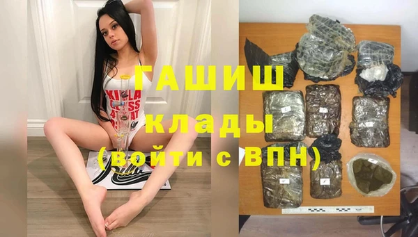 шишки Верея