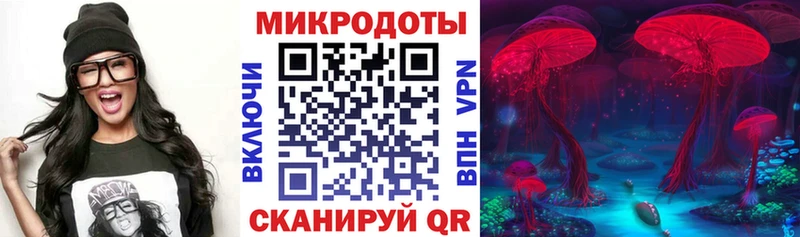 Галлюциногенные грибы Psilocybine cubensis  магазин продажи   Новоржев 