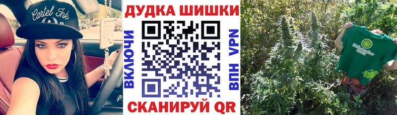 blacksprut   Новоржев  Шишки марихуана THC 21% 